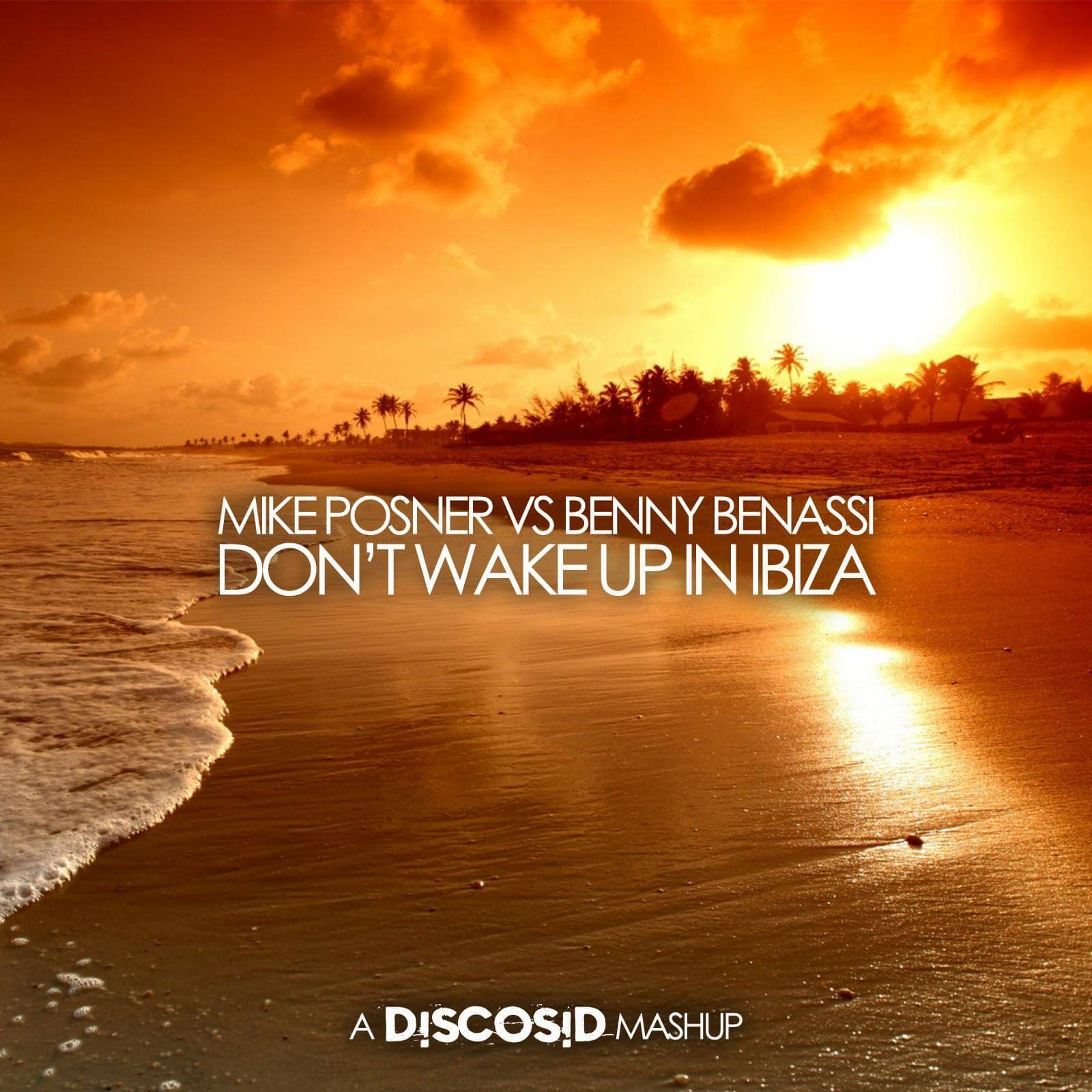 Mike Posner Vs Benny Benassi - Don't Wake Up In Ibiza (Discosid Mashup)